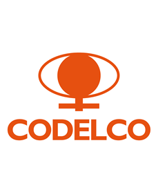 8.- Codelco